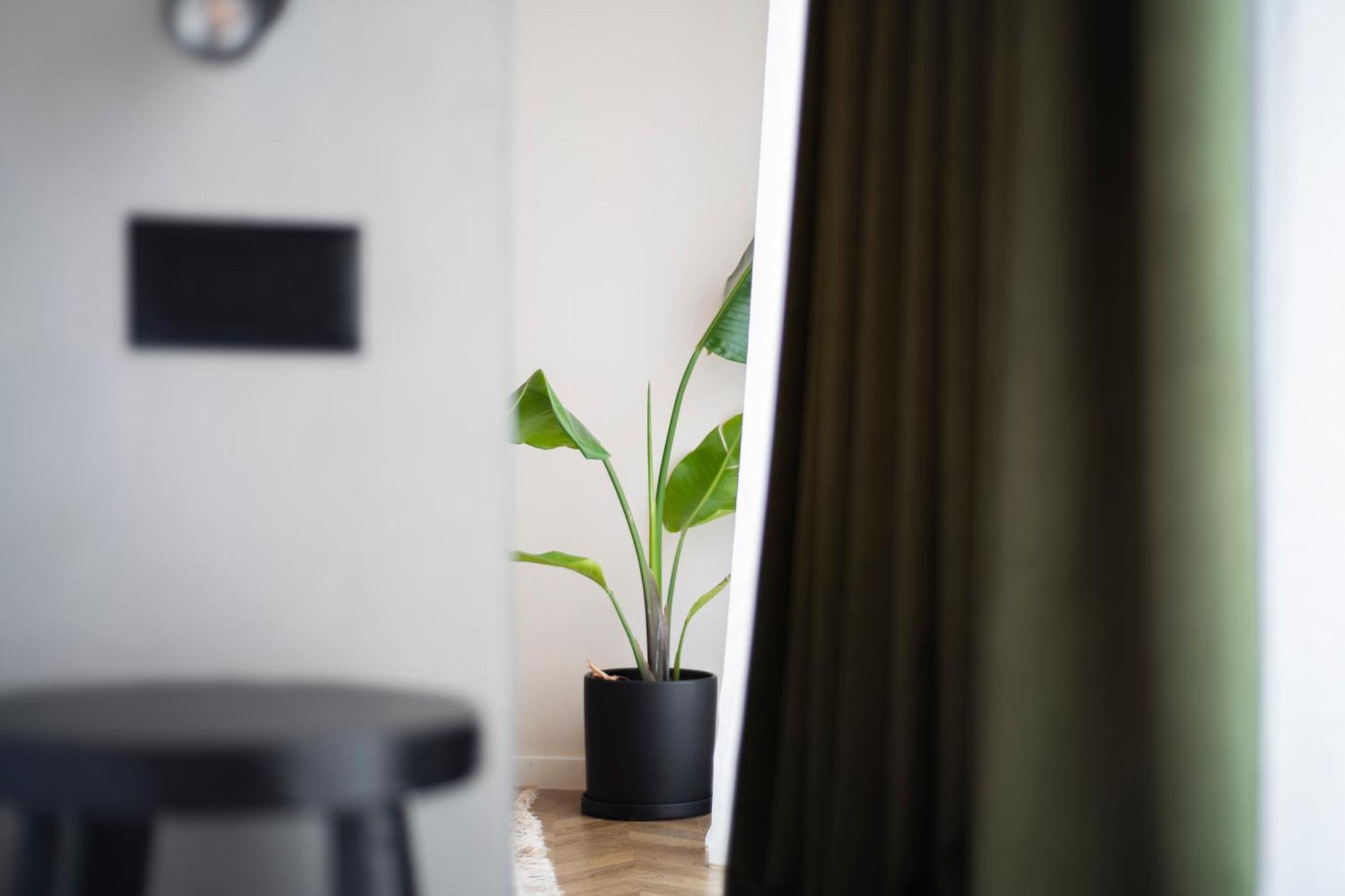 Muz Studios Tiranë Ngoại thất bức ảnh